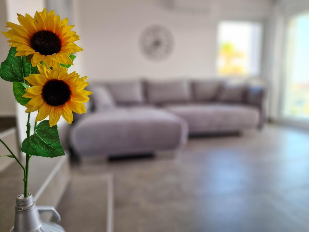 Villa Poseidon Novalja Bagian luar foto